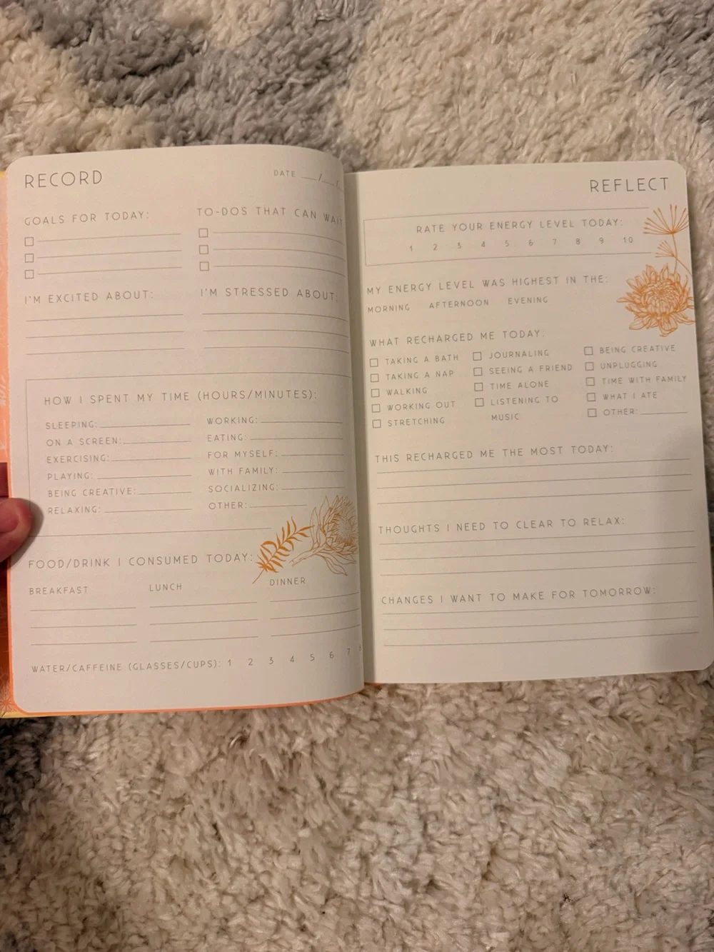 Celestial Eye Hardcover Notebook - Cream with Gold Foil
